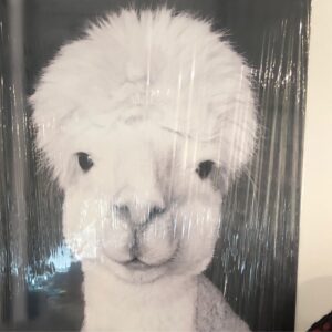 Canvas Picture-Thunder-Large