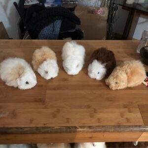 Toy, Plush Alpaca Figurine, Guinea Pigs 7in