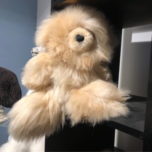 Toy, Plush Alpaca Figurine, Stuffed Bear, Medium