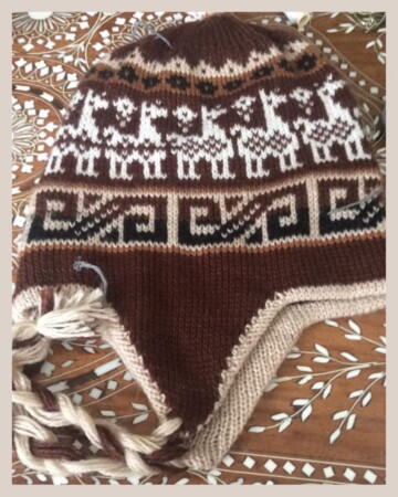 Alpaca Hat